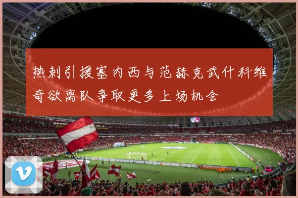 热刺引援塞内西与范赫克武什科维奇欲离队争取更多上场机会
