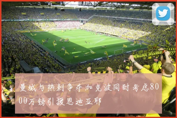 曼城与热刺争夺加克波同时考虑8000万镑引援恩迪亚耶
