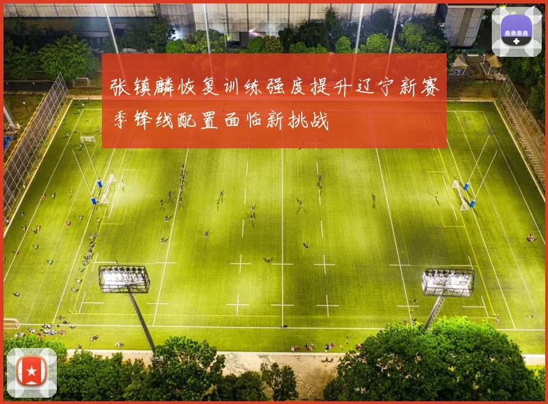 张镇麟恢复训练强度提升辽宁新赛季锋线配置面临新挑战