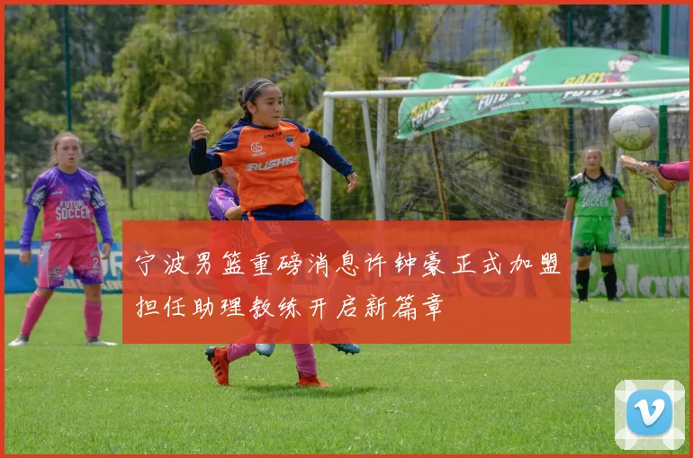 宁波男篮重磅消息许钟豪正式加盟担任助理教练开启新篇章